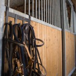 Box des chevaux du gite équestre En Lanet (Tarn)