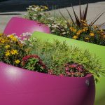 Fleurissement du village