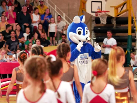 Photos de la Finale Inter Départementale Fédérale d'Occitanie de gymnastique à Albi
