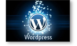 Logiciel de gestion de contenus web (CMS)