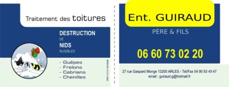 cartes de visite Guiraud SARL
