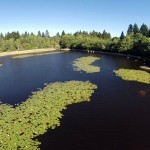 Tournage vidéo avec drone au lac du merle dans le Parc naturel du Ssidobre : effleurements de granit.