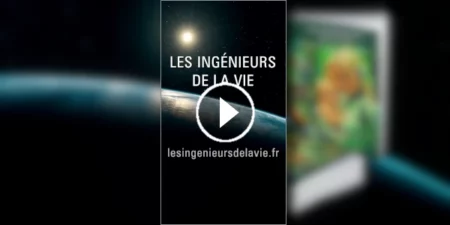 Passer du format vidéo horizontal au format vidéo vertical