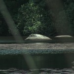 Tournage vidéo au lac du merle dans le Parc naturel du Ssidobre : effleurements de granit.