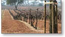 Doublage du film reportage des Domaines Barsalou en anglais et en chinois (mandarin).