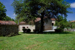 Gite équestre et chambres d'hôtes dans le Tarn