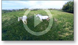 Présentation vidéo d'un gîte équestre avec vues aériennes depuis un drone...