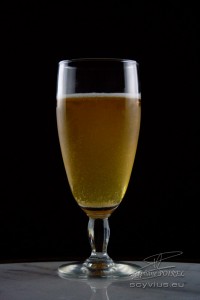 Photo en studio verre de bière