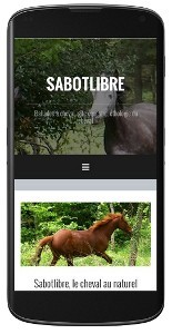 Version mobile responsive-design du site web d'un centre équestre.