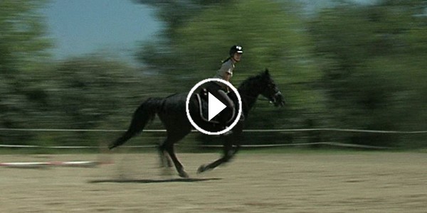 Film de présentation de centre hippique de Vigoulet-Auzil